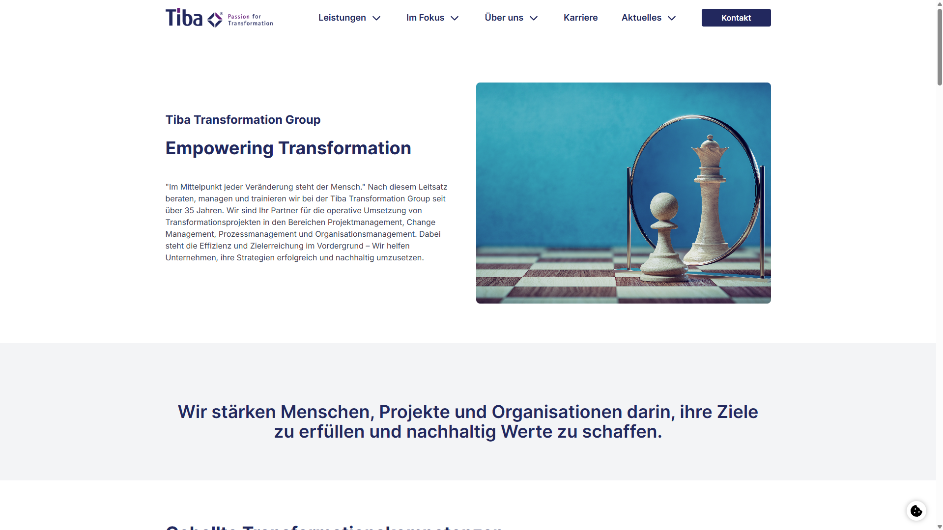 Screenshot der Website von Tiba